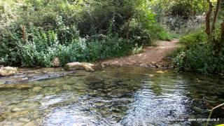 stello marchesa di Cassibile-10-02-2015 19-58-08